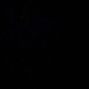 Meet your Posher, Fernanda